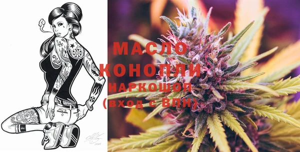 дмт Кинешма