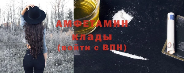 PSILOCYBIN Козловка