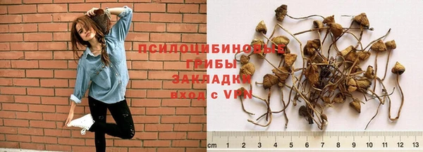 таблы Козельск