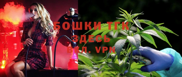 дмт Кинешма